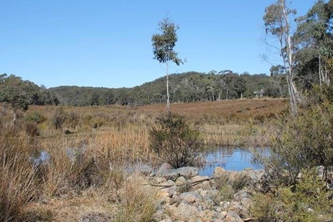 Picture of 1890 Mount Lindesay Road, BOONOO BOONOO NSW 2372