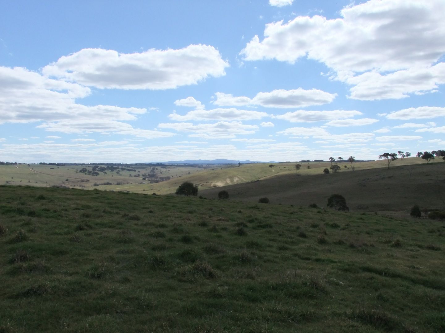 Lot 107 Browns Creek Road, Blayney NSW 2799, Image 1