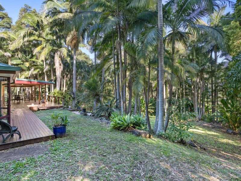 115 Brushbox Drive, Mullumbimby Creek NSW 2482, Image 1