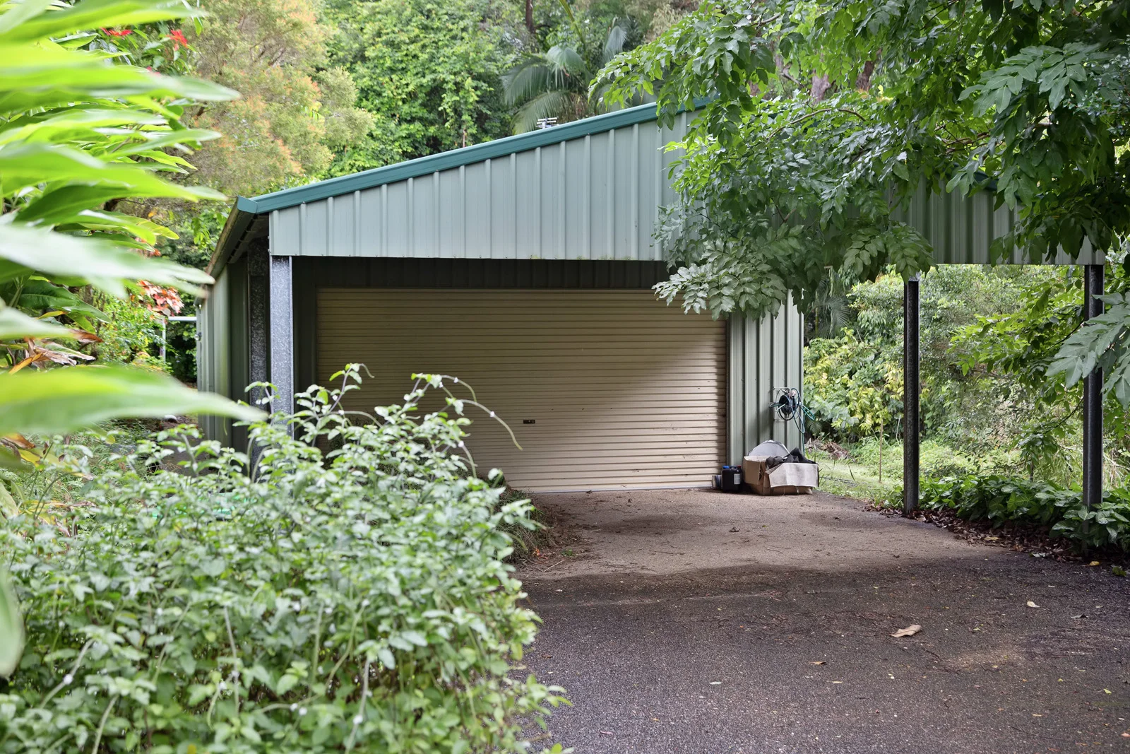 Image 19