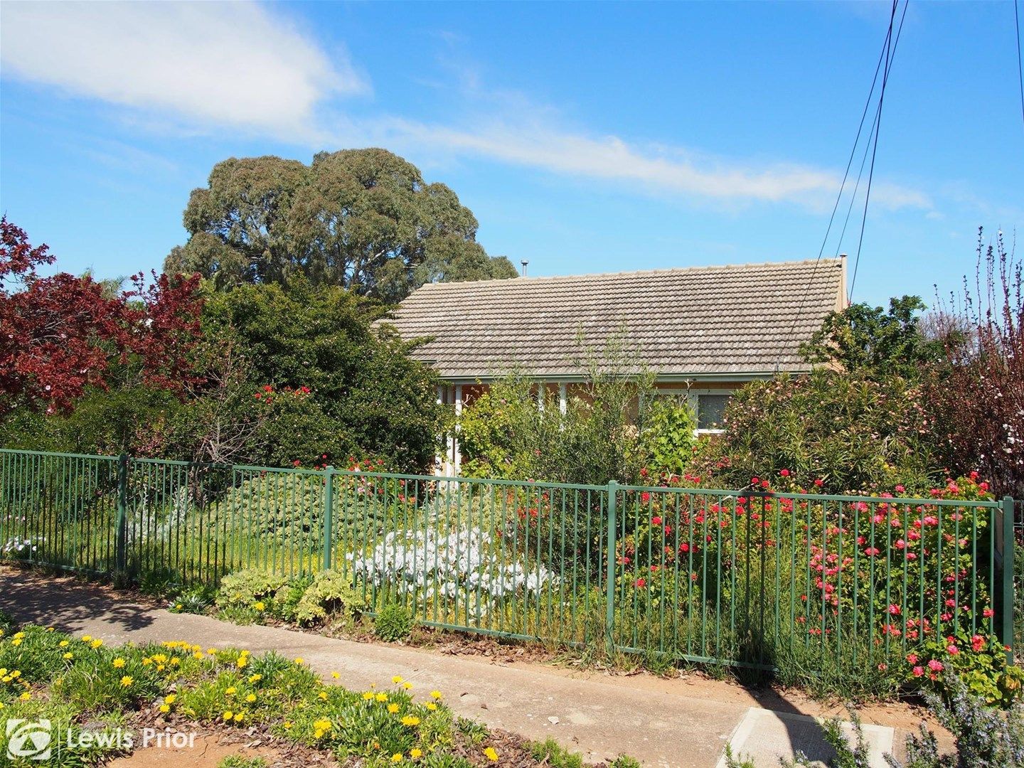 5 Vinall Street, Dover Gardens SA 5048, Image 0