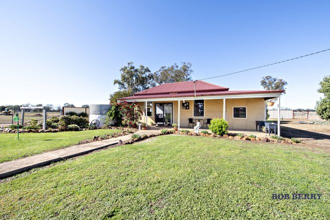 Picture of 9R Wheaton Street, EUMUNGERIE NSW 2822