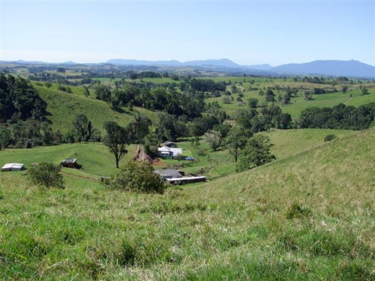 Millaa Millaa QLD 4886, Image 2