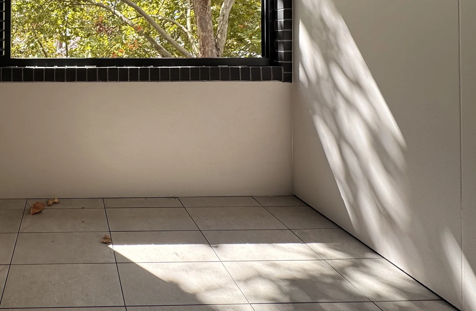 Additional image 13 of Level 2, 217/51 Falcon Street, Street, Crows Nest NSW 2065