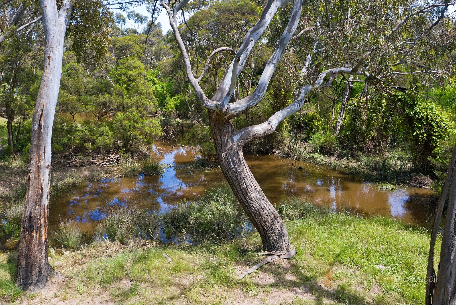 145 Dunnetts Road, Yan Yean VIC 3755, Image 1