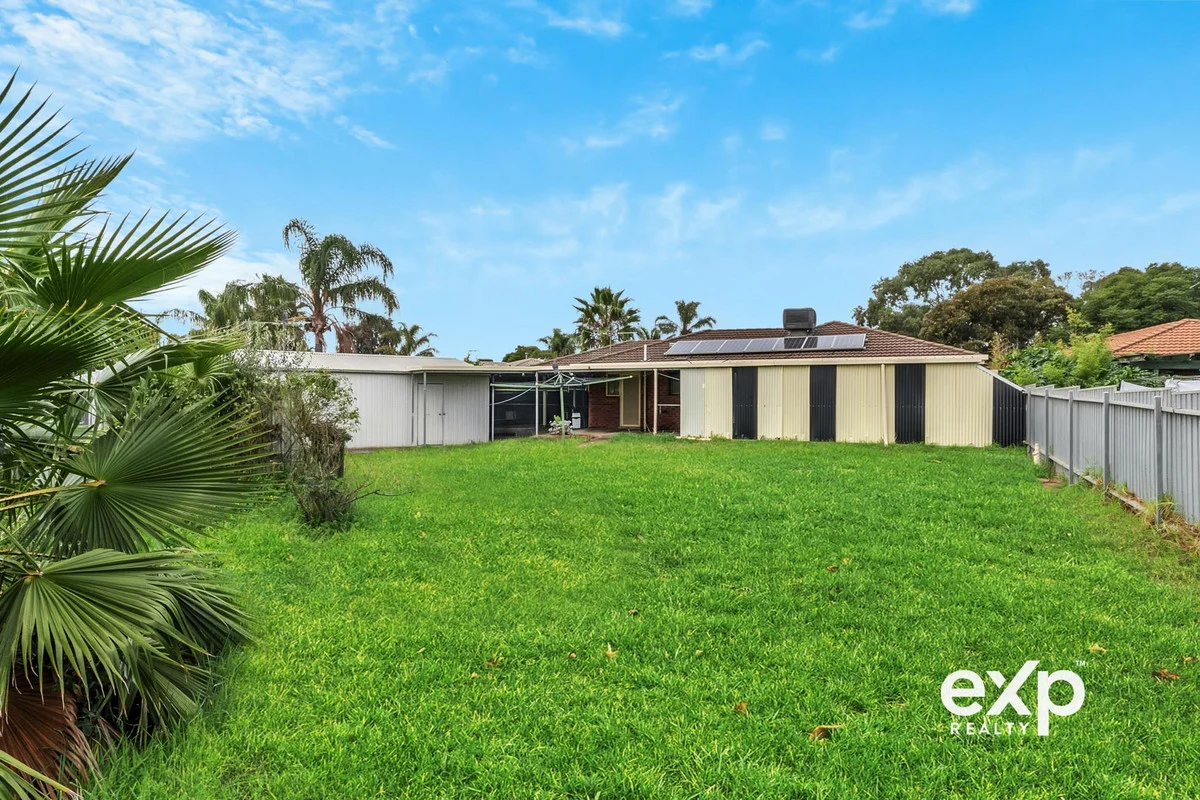Image 16