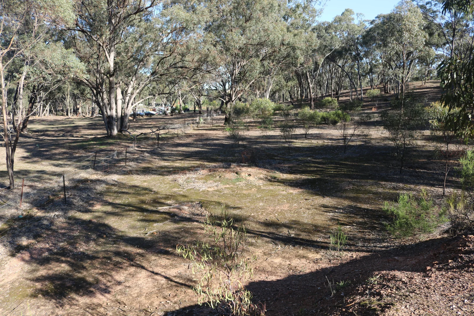 Image 38