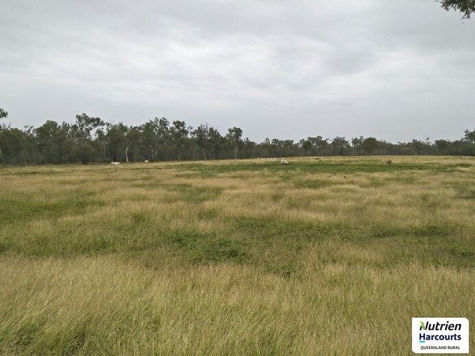 Mount QLD 4872 Farm for Sale 750,000 Domain