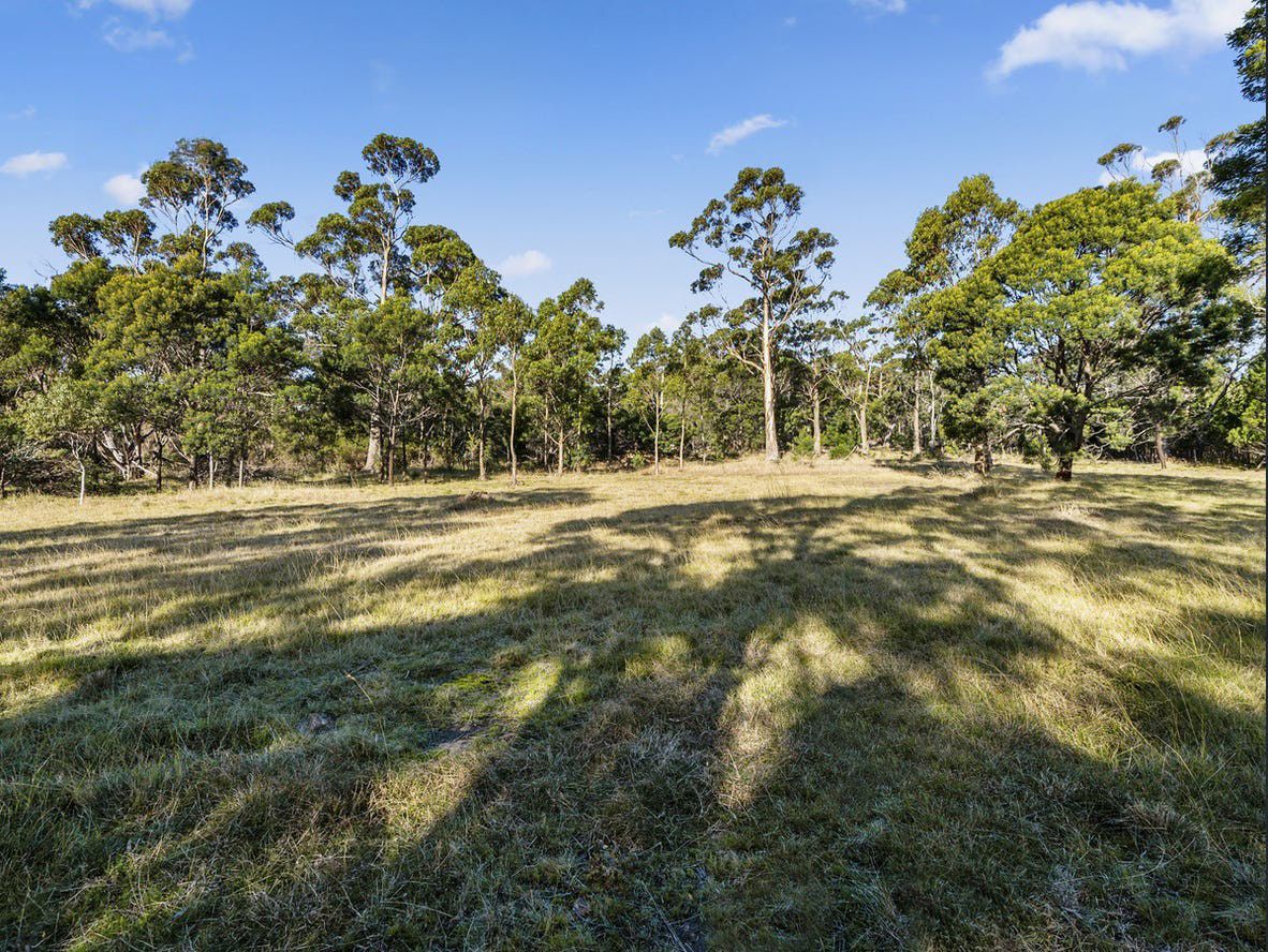 38 Medora Street, Pontypool TAS 7190 Vacant Land for Sale Domain