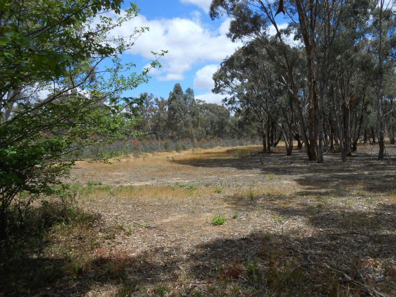 17 Burnt Creek Lane, Dunolly VIC 3472, Image 2