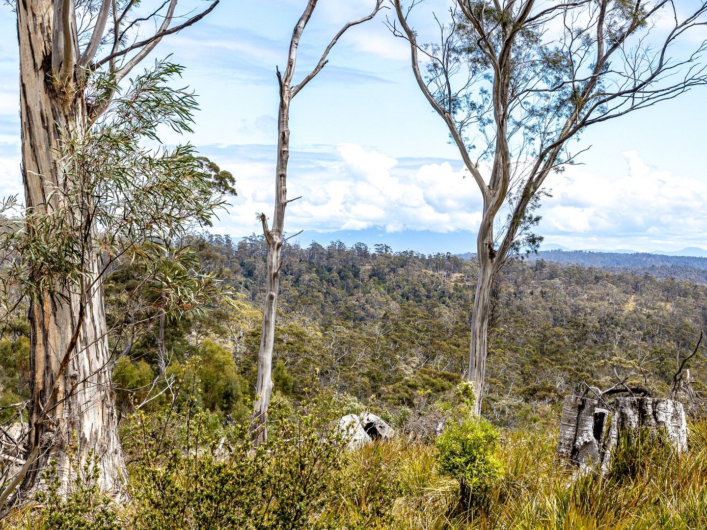 "The Bush Block" 475 Saltwater River Road, Saltwater River TAS 7186, Image 0