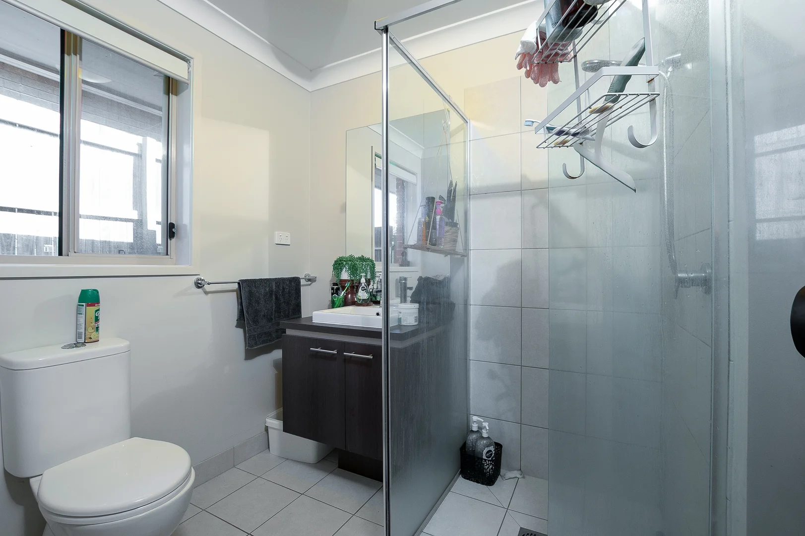 Additional image 9 of 27 Reedy Crescent, Redbank Plains QLD 4301