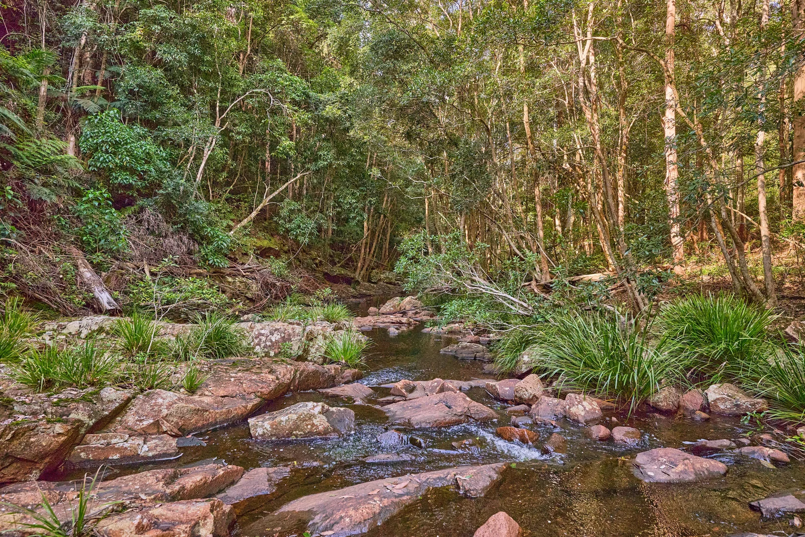 Additional image 28 of 267 Waitui Road, Waitui NSW 2443