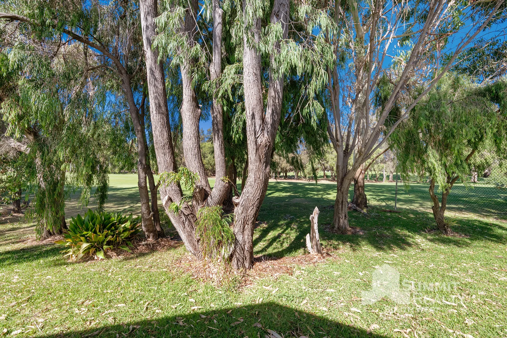 Image 29