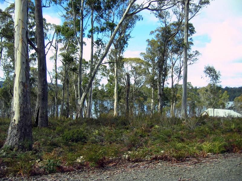 Lot 43 Pauciflora Drive, LONDON LAKES TAS 7140, Image 0