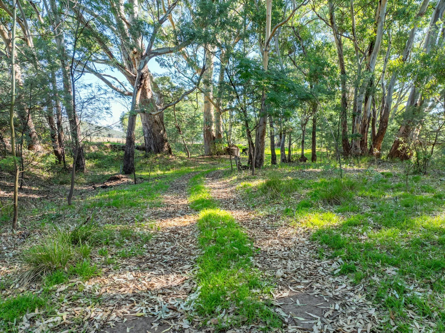 Additional image 28 of 1235 Kangarooby Road, Gooloogong NSW 2805