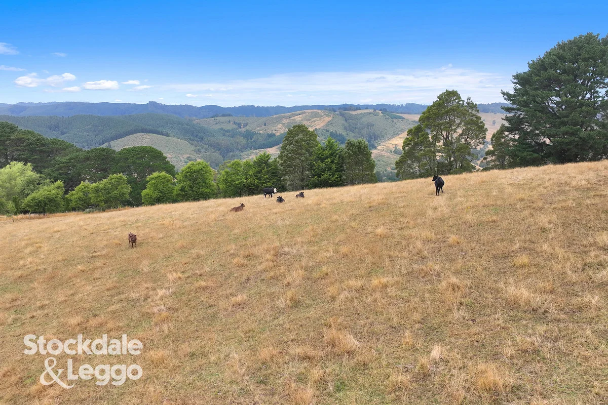 Additional image 32 of 60 Old Central Road, Mirboo VIC 3871