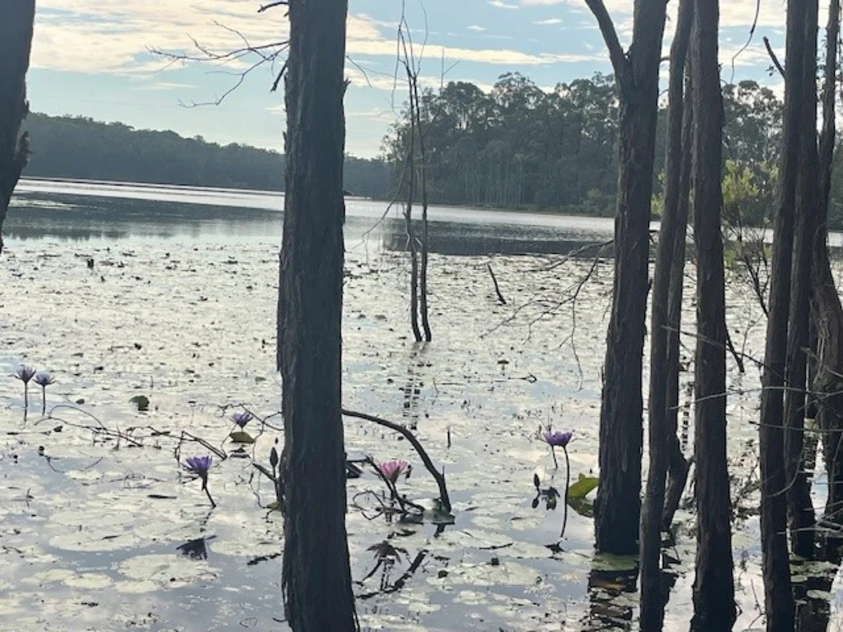 Additional image 11 of Kurwongbah QLD 4503