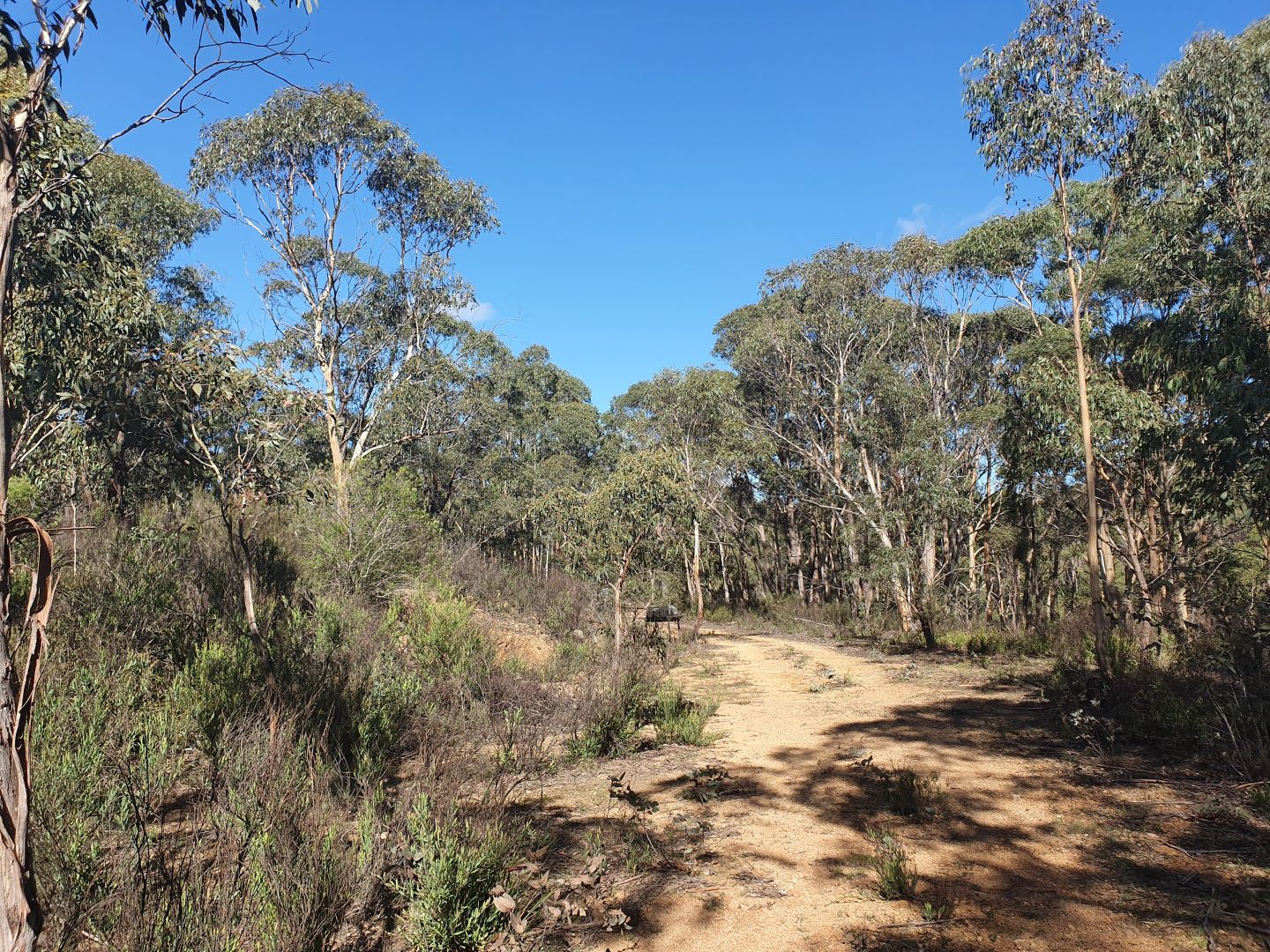 Lot 1&2 Charleys Forest Road, Braidwood NSW 2622, Image 1