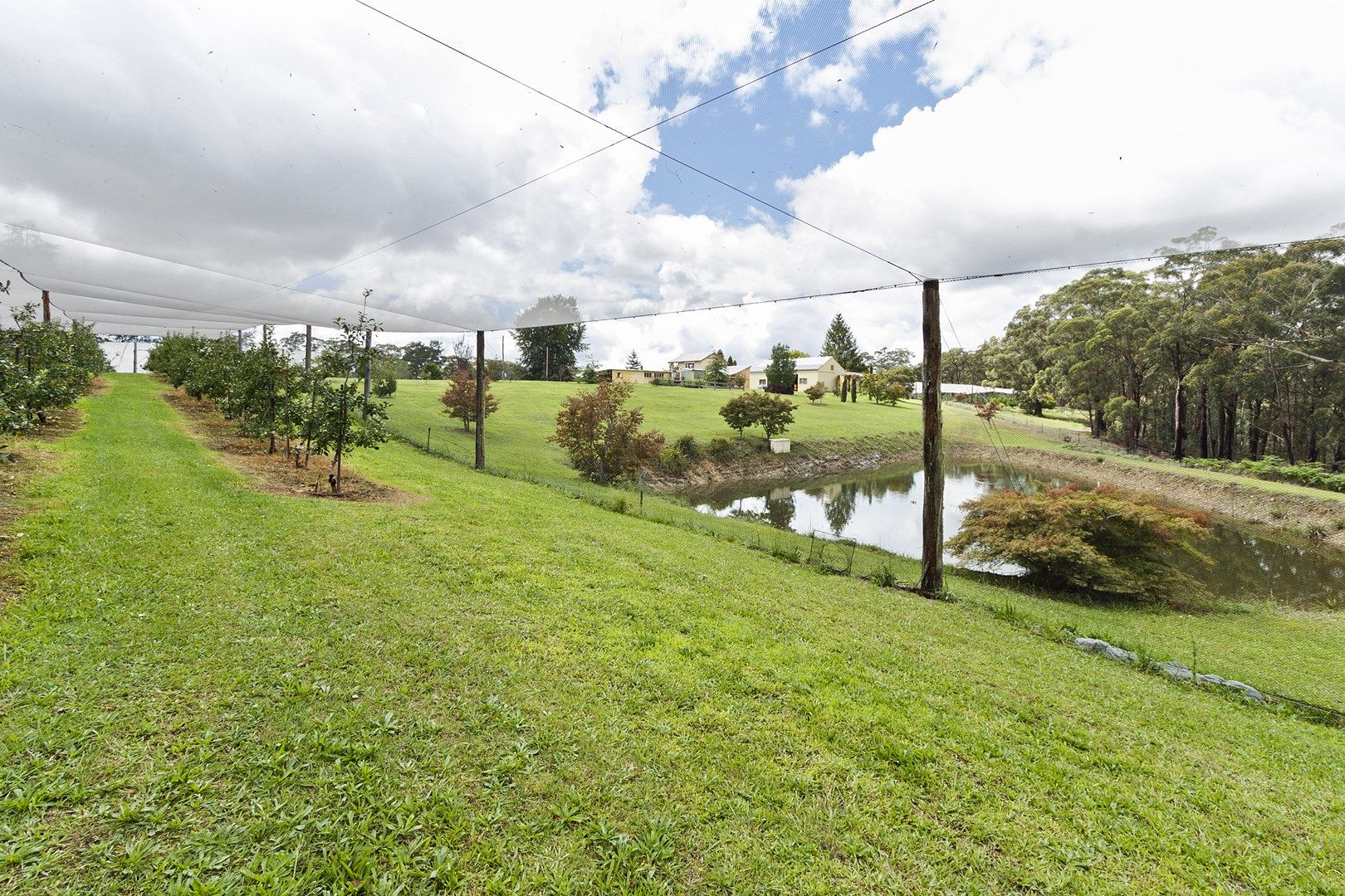 888 Mountain Lagoon Road, Bilpin NSW 2758, Image 0