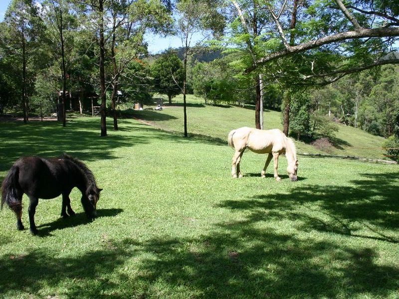 1051 Beaudesert-Nerang Road, CLAGIRABA QLD 4211, Image 1