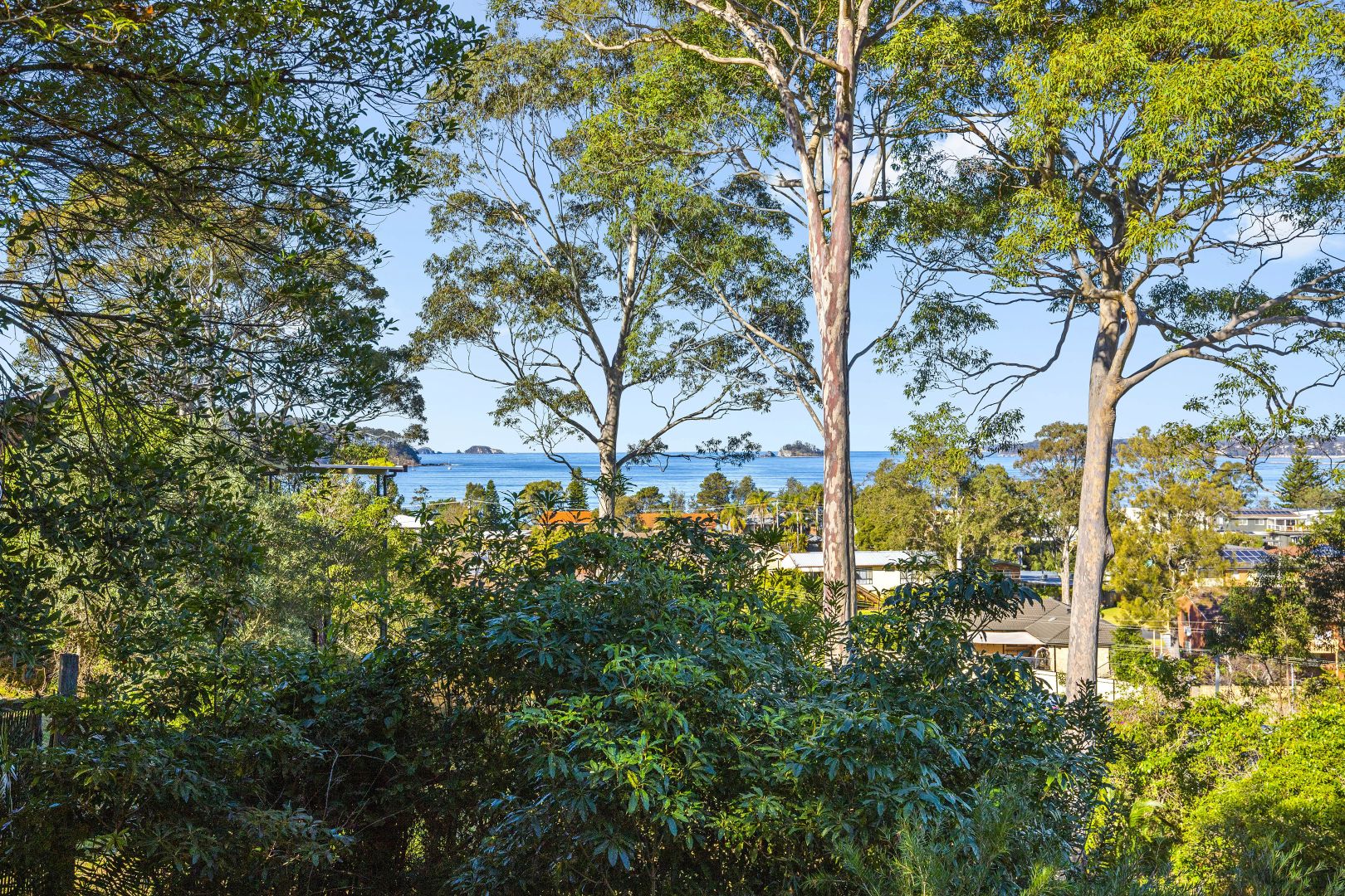 109 Palana Street, Surfside NSW 2536, Image 1