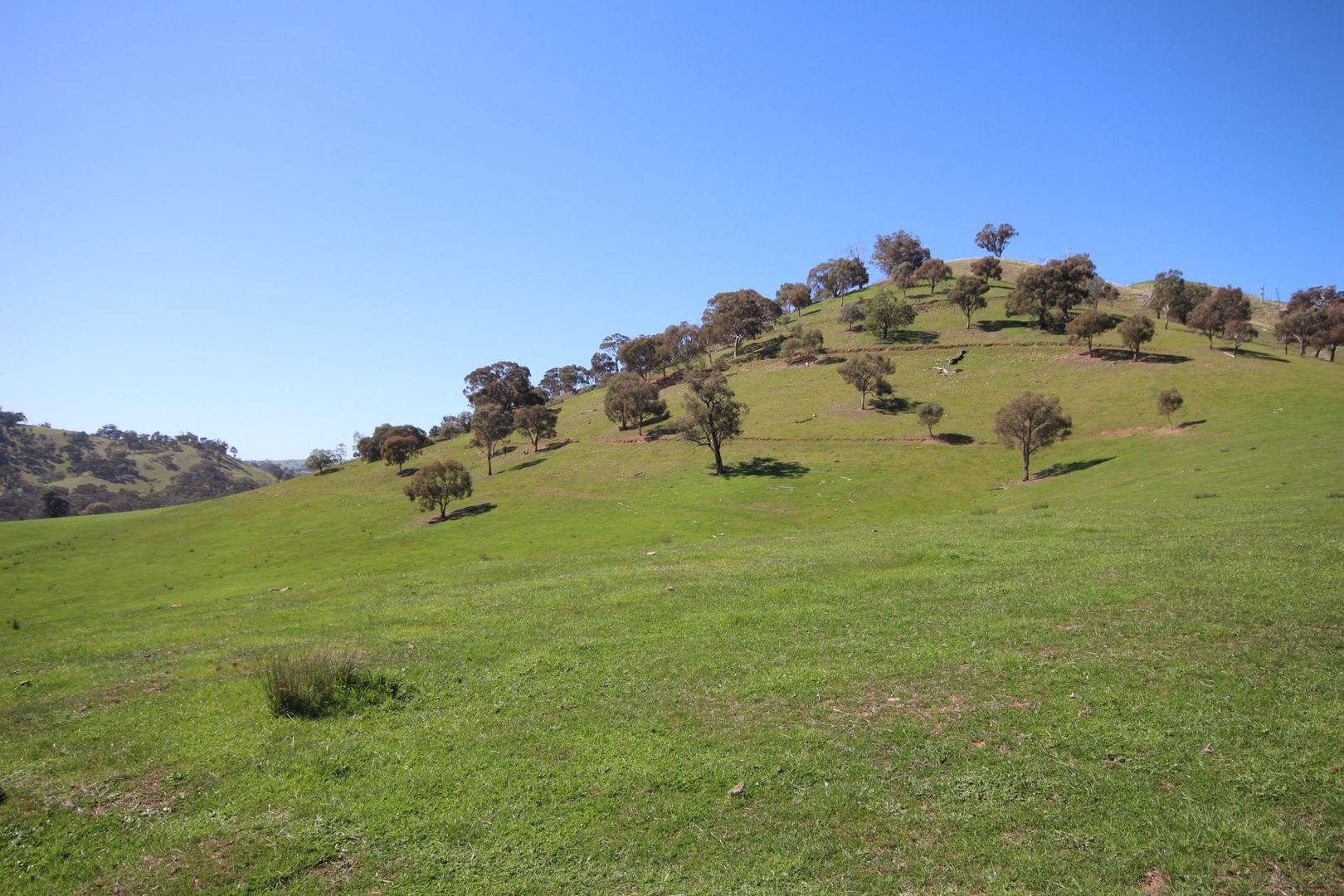 Diffey Road, Everton VIC 3678, Image 2