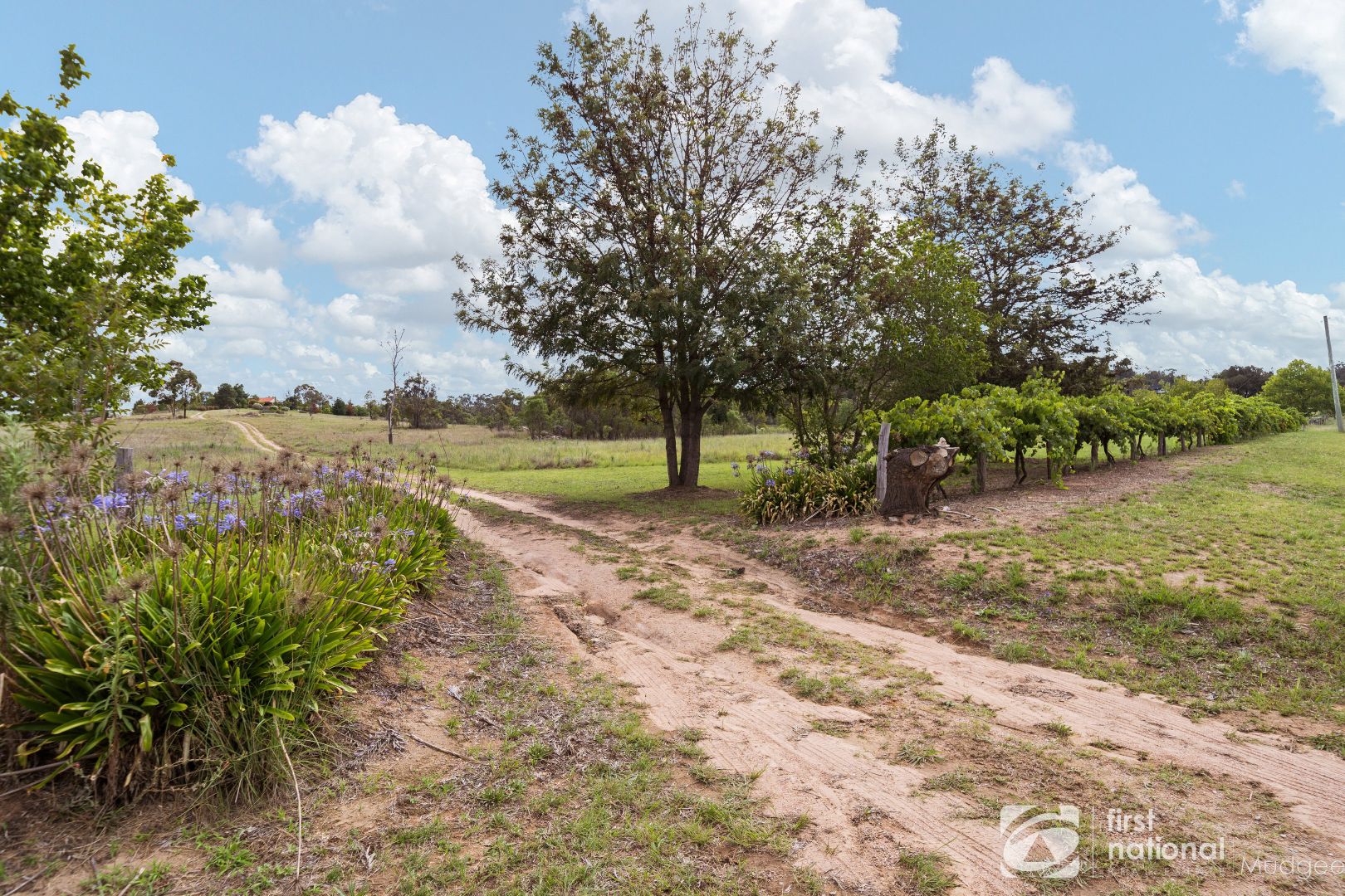 89 Winchester Crescent, Mudgee NSW 2850, Image 1