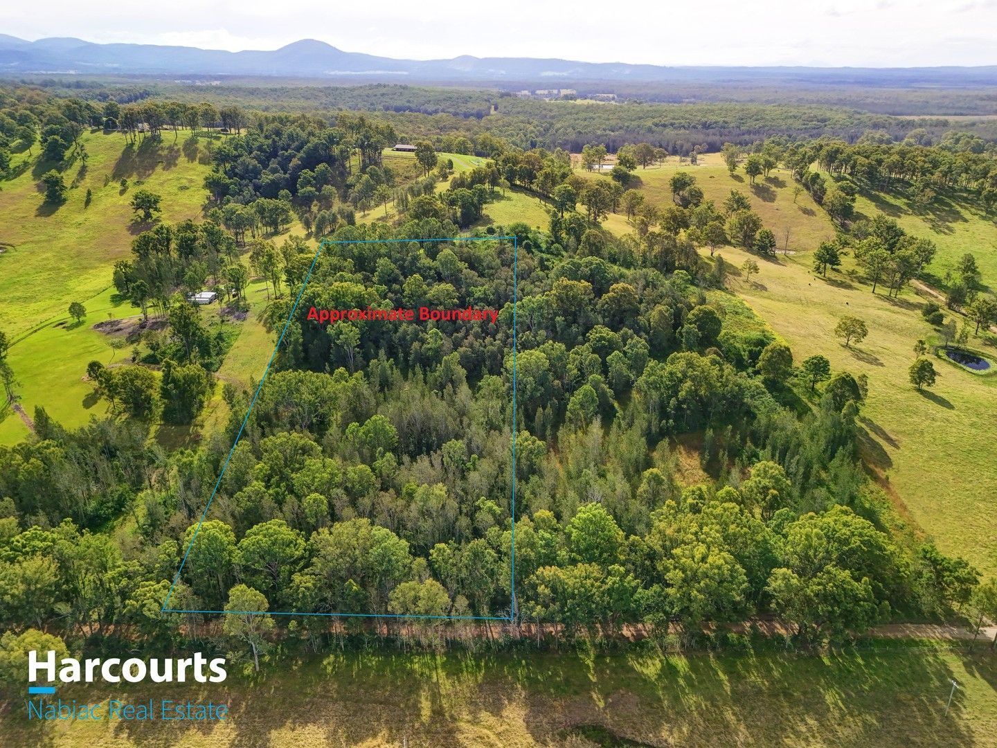 795 Minimbah Road, Minimbah NSW 2312, Image 0