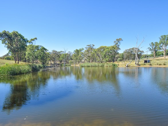 251 Rhodes Road, Young NSW 2594