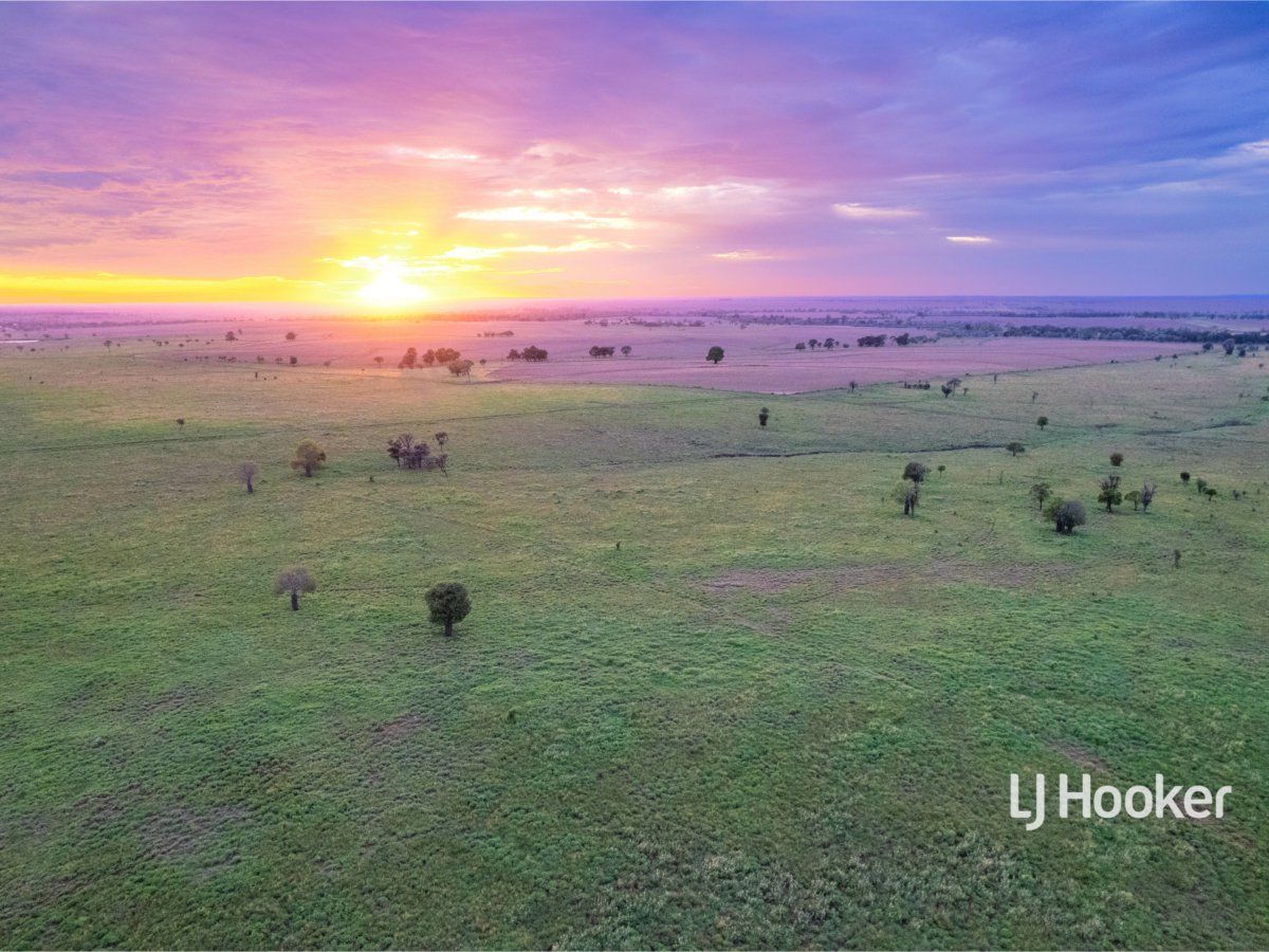 1408 "Bindango" Bindango Road, Roma QLD 4455 House for Sale