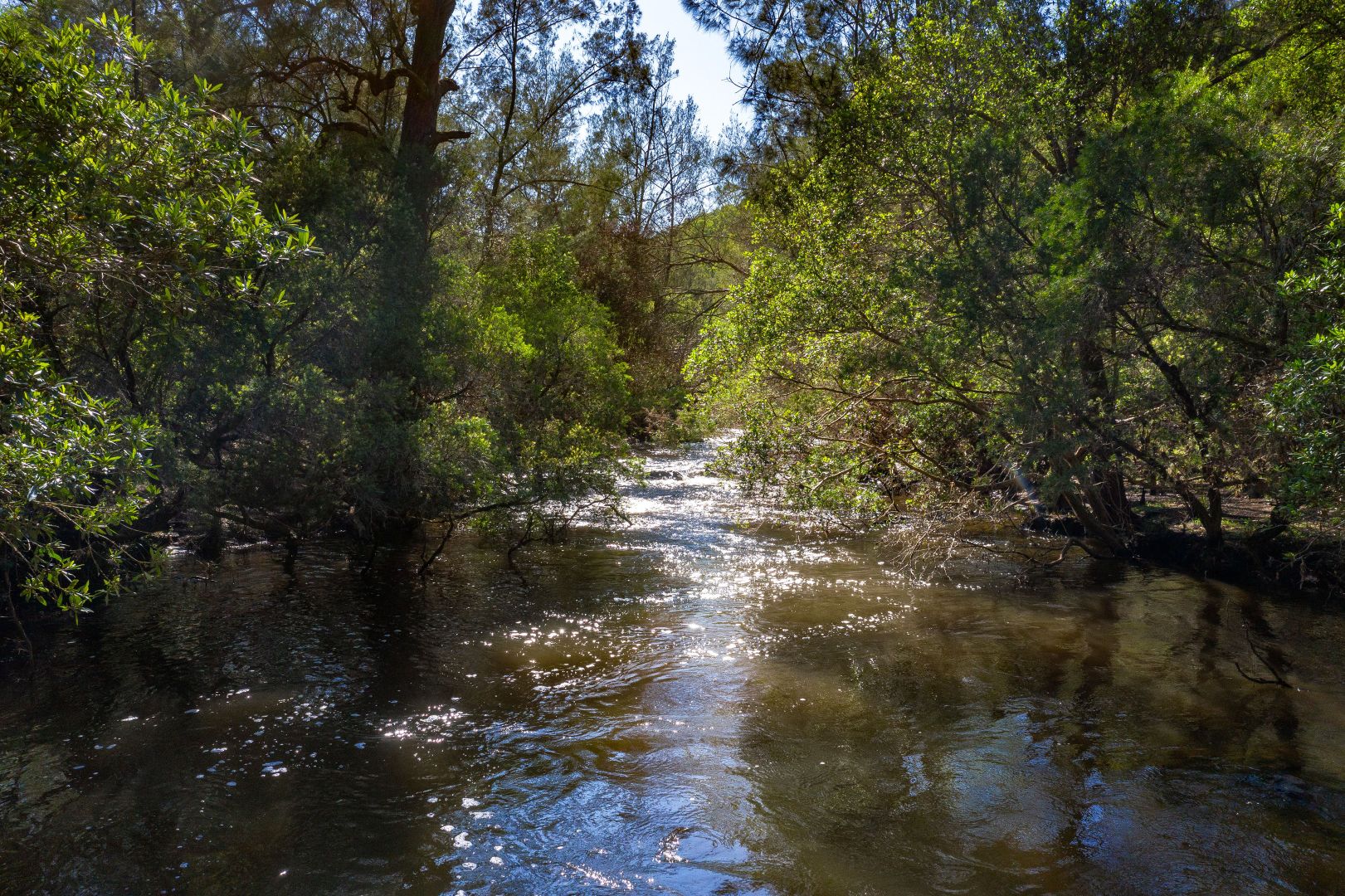 Lot 154 Cells Road, Cells River NSW 2424, Image 2