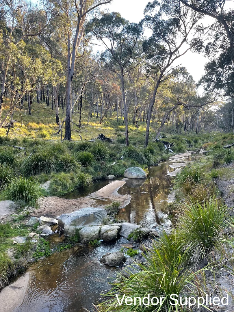 Additional image 9 of 1224 Mount Mckenzie Road, Tenterfield NSW 2372