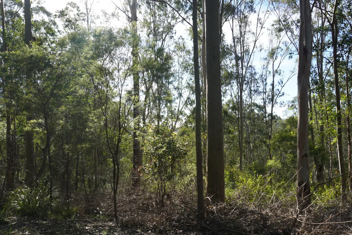 Image 39