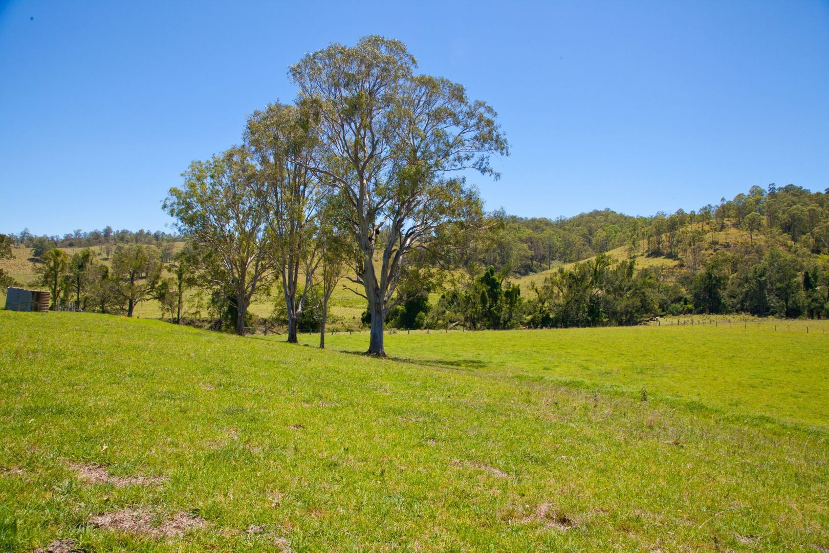 306 Eden Creek Road, Kyogle NSW 2474, Image 2