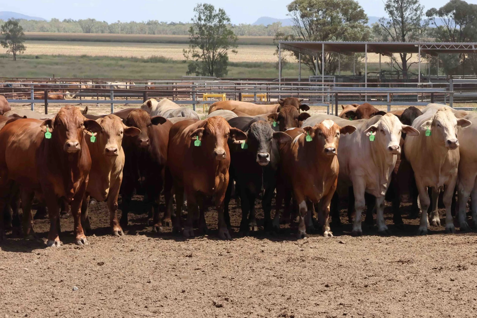 Additional image 8 of 2687 Dawson Developmental Road, Springsure QLD 4722
