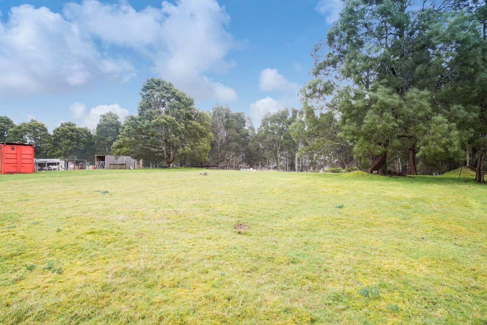 12 Ardyn Street, Tullah Property History & Address Research Domain