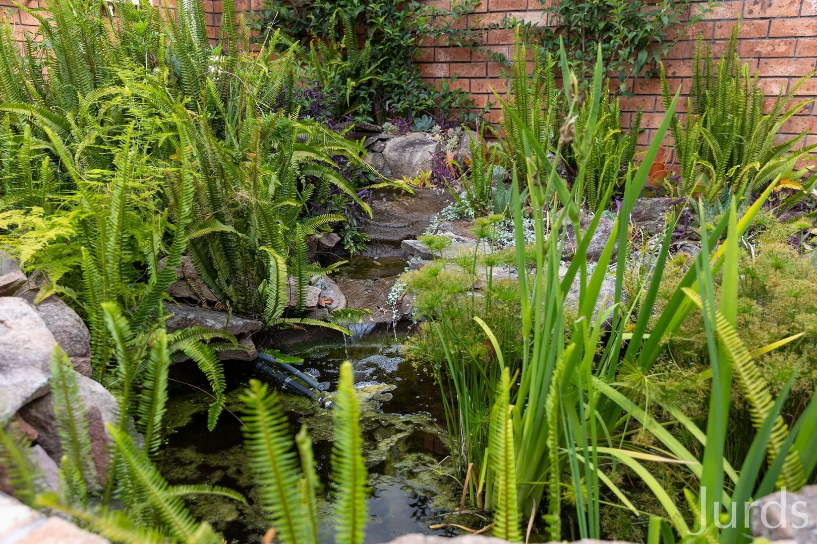 Additional image 29 of 68 Keelendi Road, Bellbird Heights NSW 2325