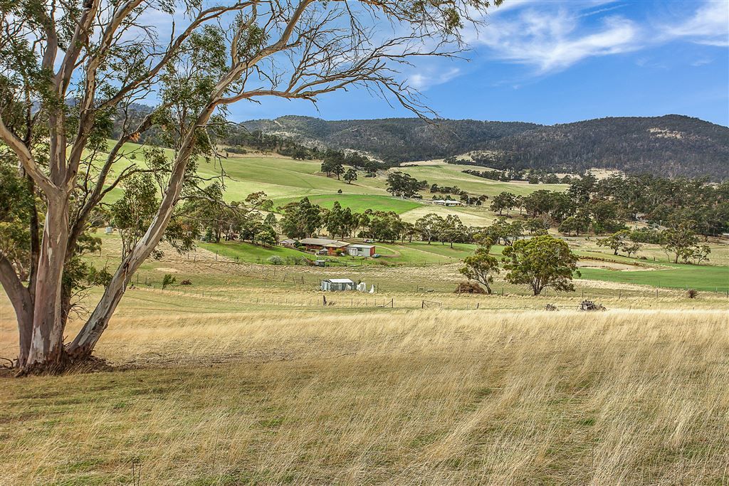 684 Fingerpost Road, Orielton TAS 7172, Image 0