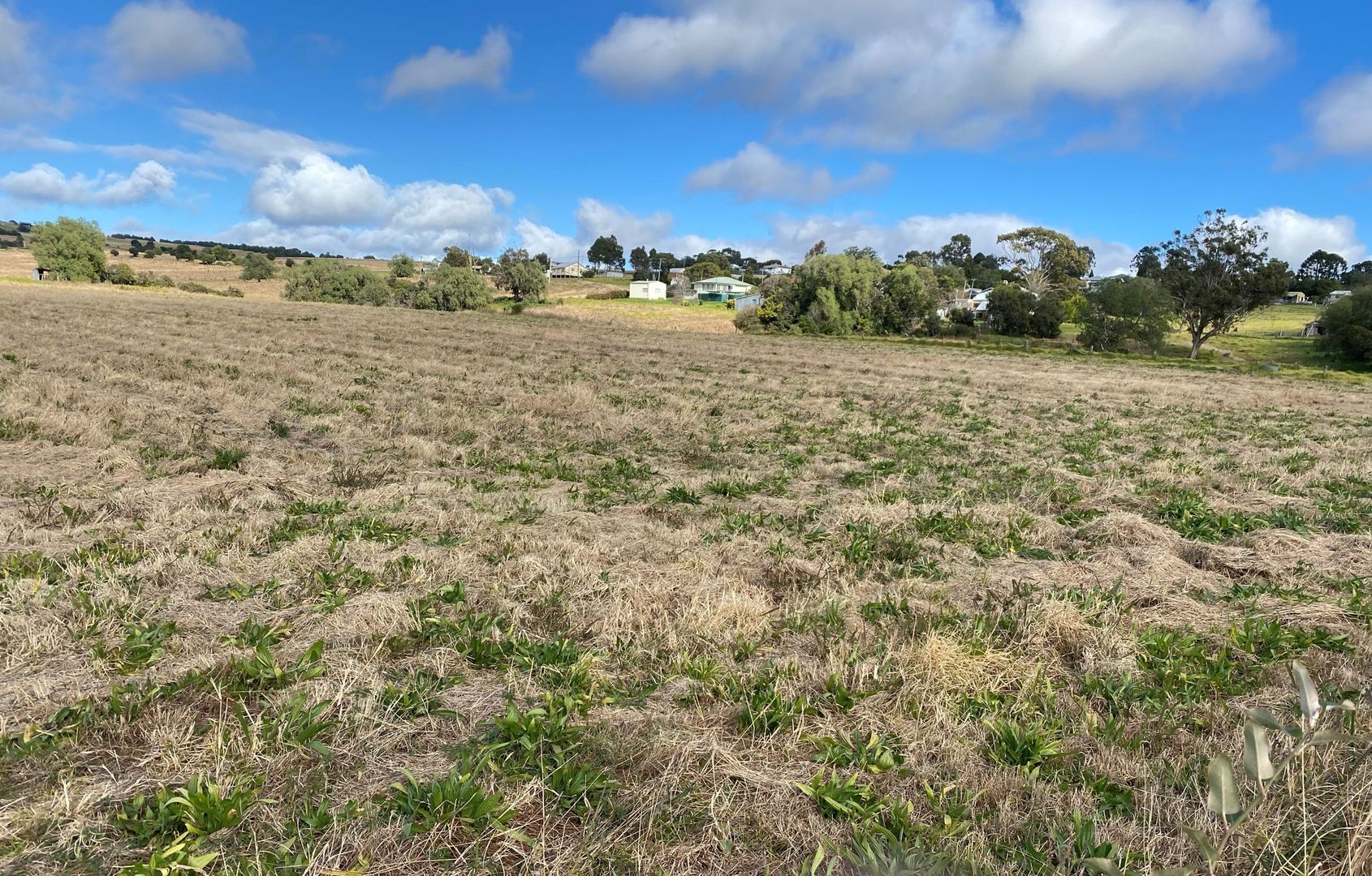 Lot 1 Olive Street, Killarney QLD 4373, Image 1