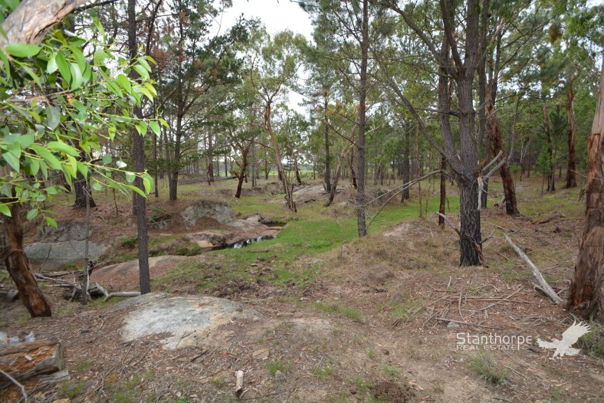 262 Panoramic Drive, Sugarloaf QLD 4380, Image 1