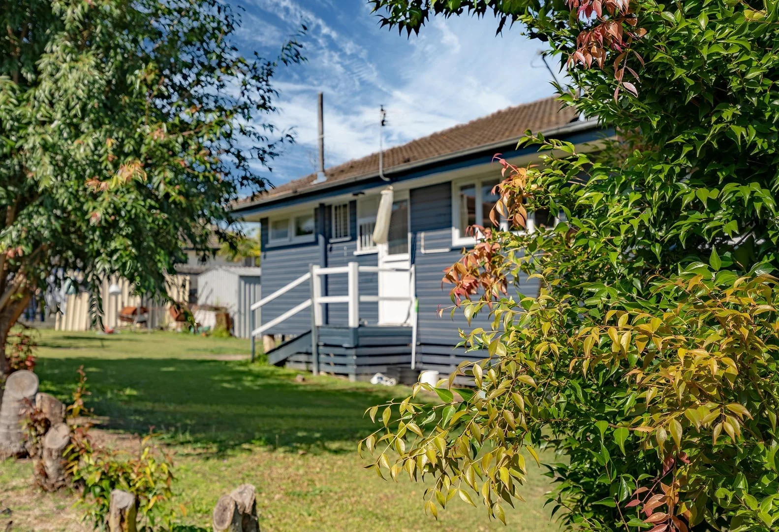 Image 11