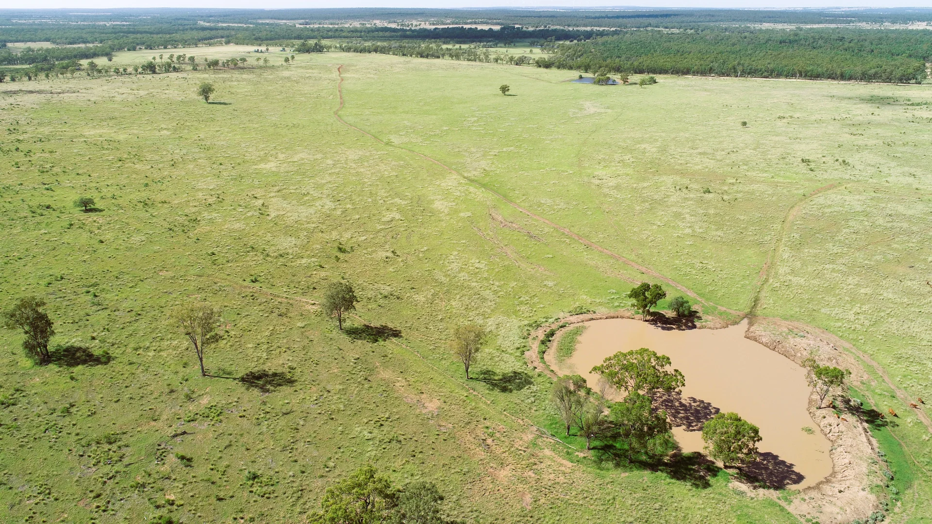 Additional image 12 of 'Langley' 344 Clarke Creek Road, Dulacca QLD 4425