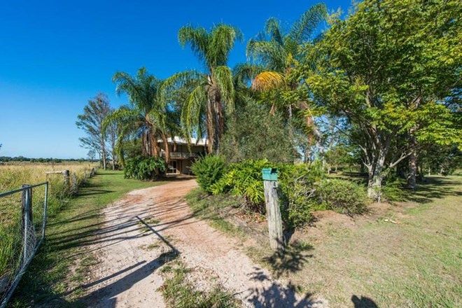 Picture of 4 Finlaysons Road, SWAN CREEK NSW 2462