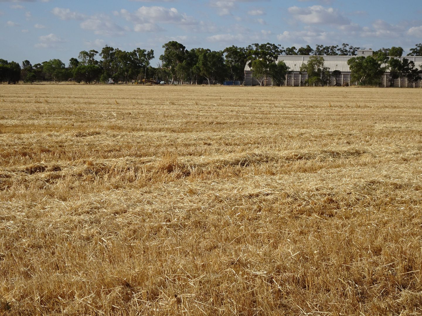 5980 Brookton Kweda Road, Aldersyde WA 6306 House for Sale Domain