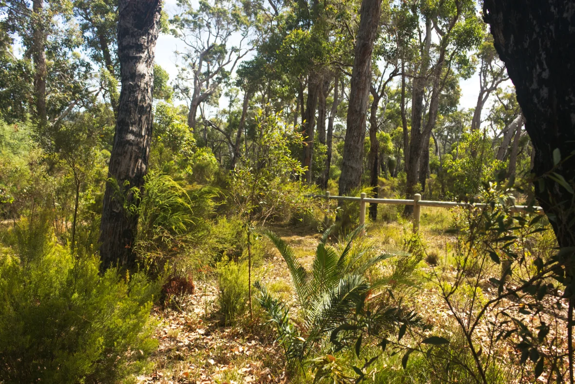 Additional image 3 of 80 Karri Street, Walpole WA 6398