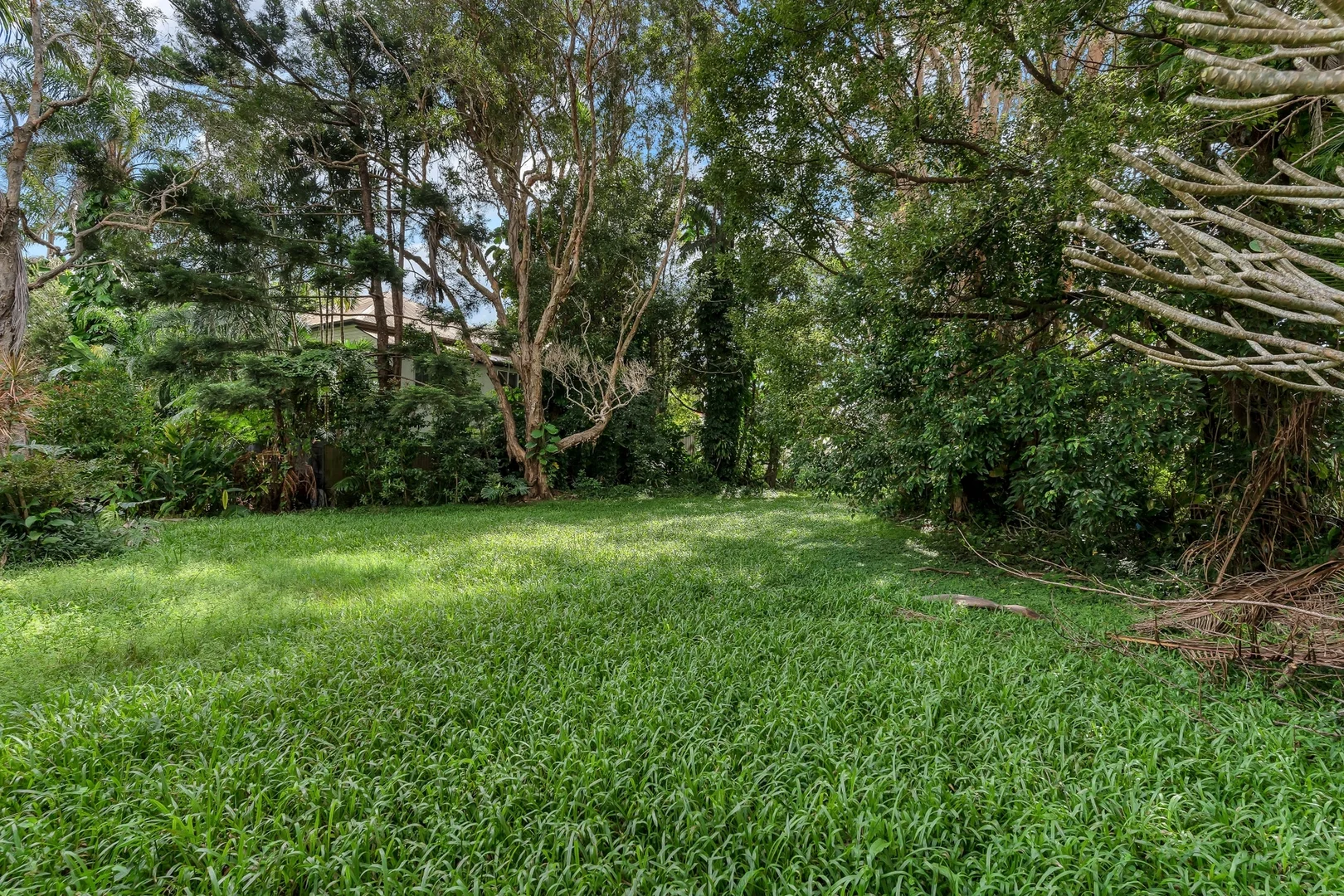 Image 15