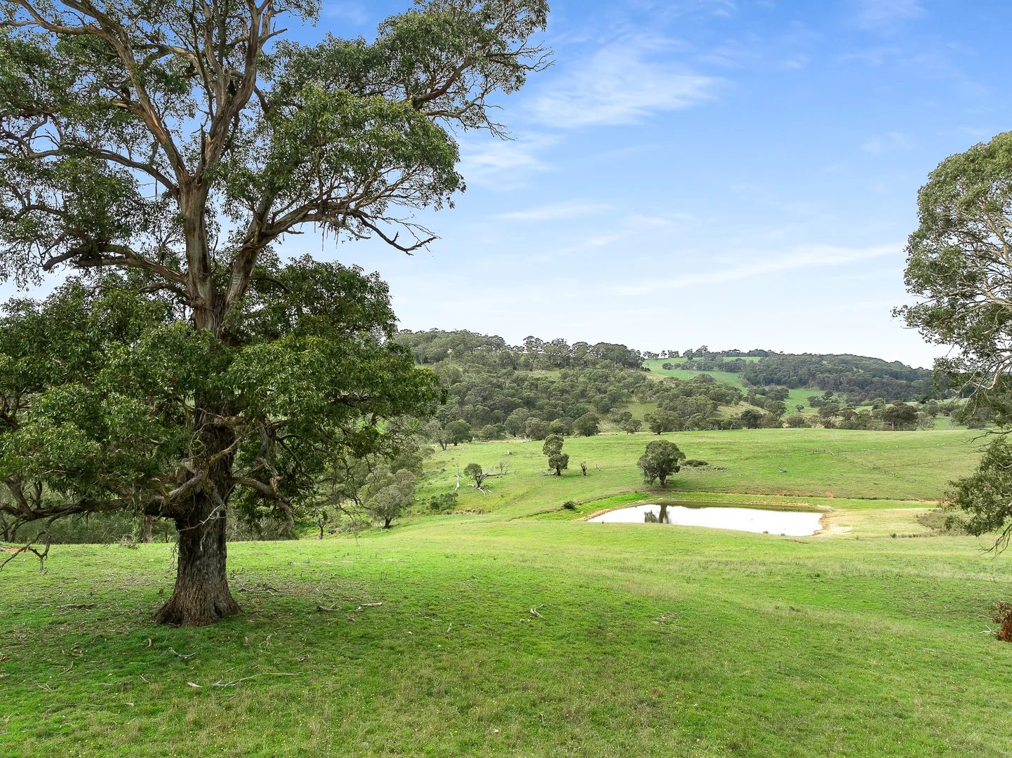 Additional image 32 of 370 Springmount Road, Oberon NSW 2787