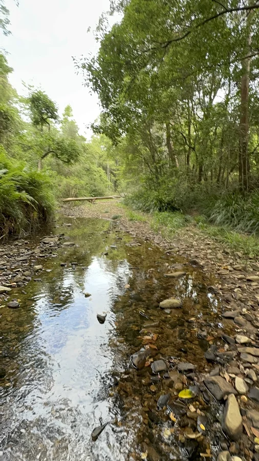 Image 22