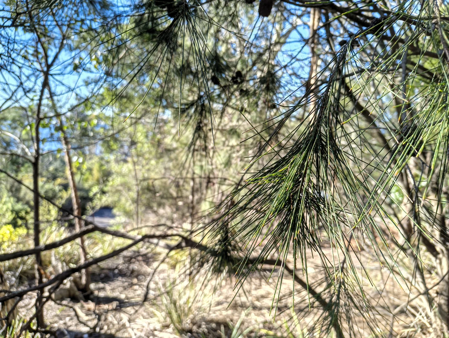Image 6